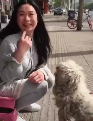 一只流浪狗的蜕变,感谢让它遇见了有爱的主人,从此不用颠沛流离 一只流浪狗的蜕变,感谢让它遇见了有爱的主人,从此不用颠沛流离