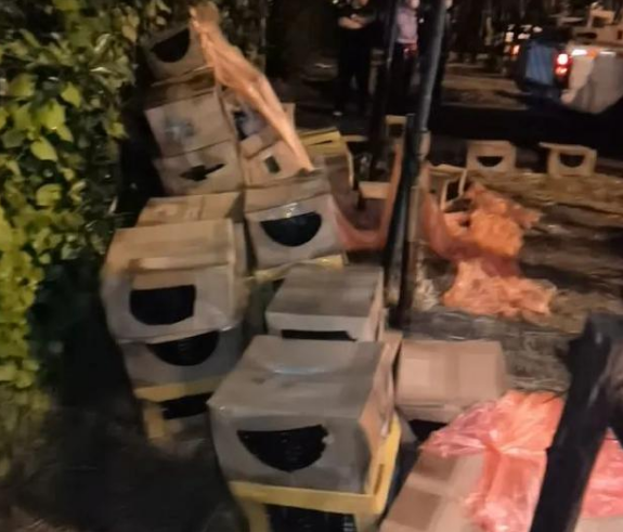 宠物盲盒生意悲剧再现