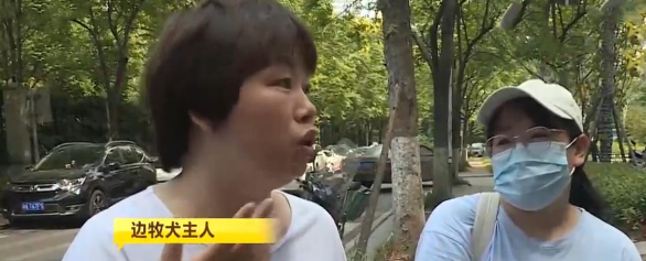 湖南:被不拴绳的狗咬伤,女子要求额外赔偿,狗主人:只赔医药费 湖南:被不拴绳的狗咬伤,女子要求额外赔偿,狗主人:只赔医药费