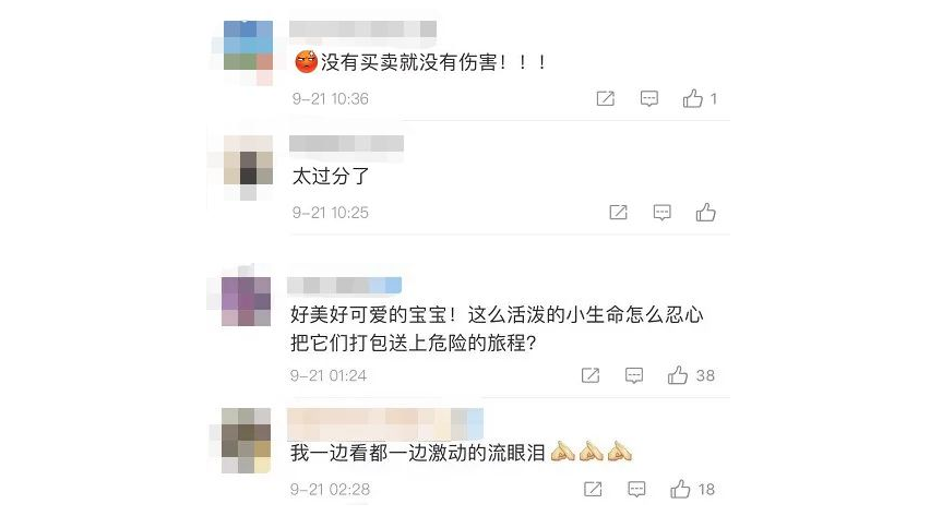 百余宠物盲盒被遗弃路边,警方已介入! 百余宠物盲盒被遗弃路边,警方已介入!