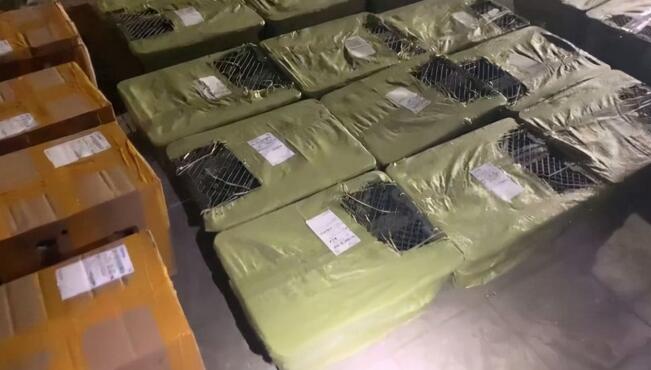 痛心!百余只宠物盲盒被遗弃街头,有猫有狗都在惨叫! 痛心!百余只宠物盲盒被遗弃街头,有猫有狗都在惨叫!