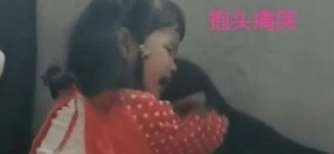 熊孩子被妈妈训斥后跟狗告状,狗子左右为难的样子:跟我没关系 熊孩子被妈妈训斥后跟狗告状,狗子左右为难的样子:跟我没关系