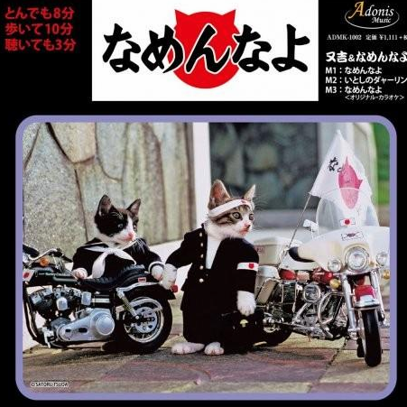 收留野猫可以赚钱吗 | 29岁靠收养的流浪猫两年捞金几十亿,至今还在赚 收留野猫可以赚钱吗 | 29岁靠收养的流浪猫两年捞金几十亿,至今还在赚