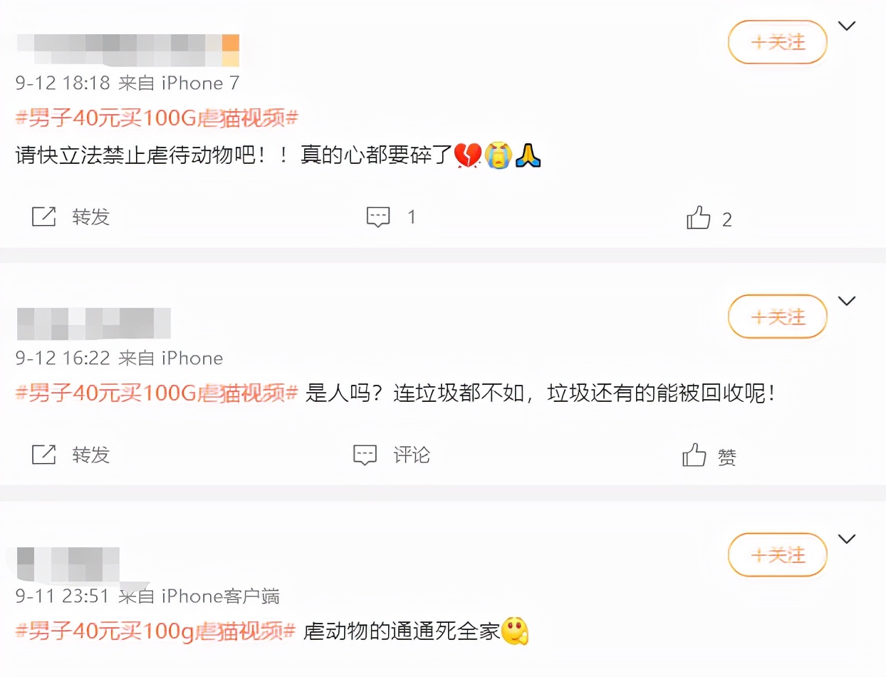 已被刑拘！男子虐猫问原主人索要财物，他会被怎么处罚？ 