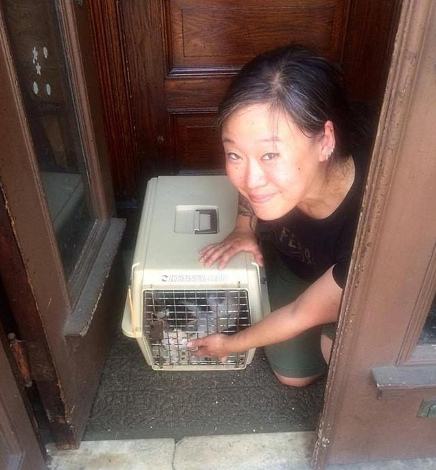 把猫扔了它就在原地 | 猫被扔掉后一直待在原地苦等主人,它被扔掉因为它是公猫 把猫扔了它就在原地 | 猫被扔掉后一直待在原地苦等主人,它被扔掉因为它是公猫