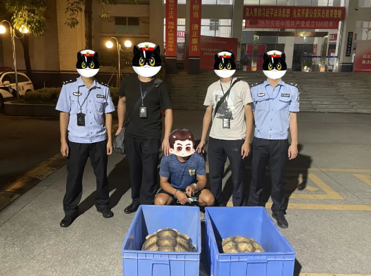 这种“宠物”千万不能养,鹤山男子因此惹上牢狱之灾! 这种“宠物”千万不能养,鹤山男子因此惹上牢狱之灾!