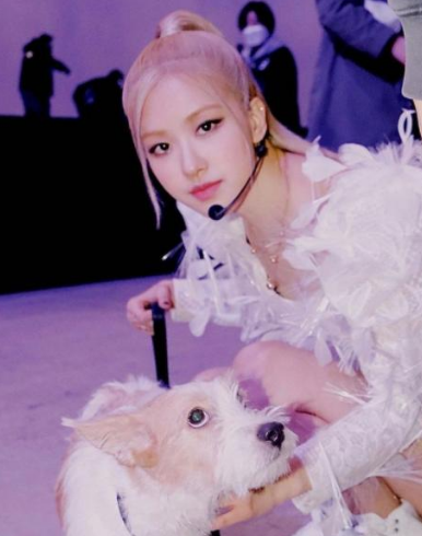 明星也是猫奴狗奴！Blackpink爱宠大盘点