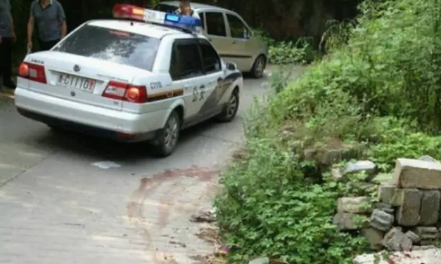 浙江一阿婆被自家狗咬死,村民:狗被拴在鸡圈里,经常挨饿 浙江一阿婆被自家狗咬死,村民:狗被拴在鸡圈里,经常挨饿