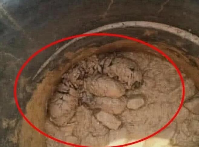 五只小奶狗被扔泥潭，小伙好心救助，洗完一看绝望了