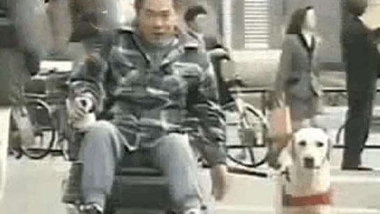  狗狗照顾残疾主人15年, 临终前狗狗留下的遗言, 让主人泪崩 