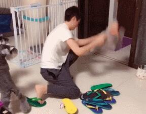 为教育狗狗不乱咬拖鞋，主人以此招示范，不料吓得狗狗相互抱团