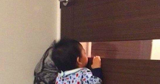 一只和蜘蛛大战300回合的猫咪，这造型让人笑喷，蜘蛛可能进肚了