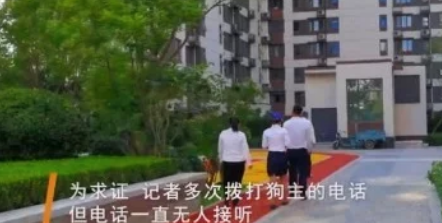 “谁找到丢的狗就送北京一套房”，结果狗找到了，狗主变卦了