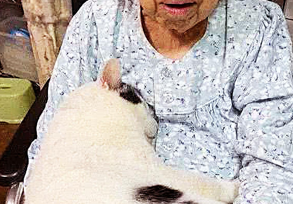 将猫咪让外婆暂时饲养，1个月后，再次看到猫咪时，女子哭了！ 