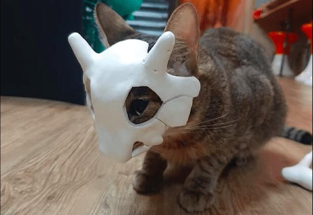 网友给猫咪制作了面具,戴上之后像是数码宝贝进化的模样,太像了
