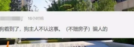 “谁找到丢的狗就送北京一套房”，结果狗找到了，狗主变卦了