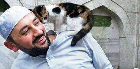 一座被猫统治的城市，猫咪数量超过12万，当地人：猫是这儿的主人