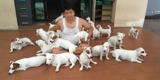 男子一口气养了20只狗，把整张床都铺满了