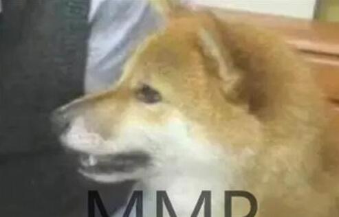 主人为防柴犬偷吃，出此奇招，柴犬看到“狗头”就懵了
