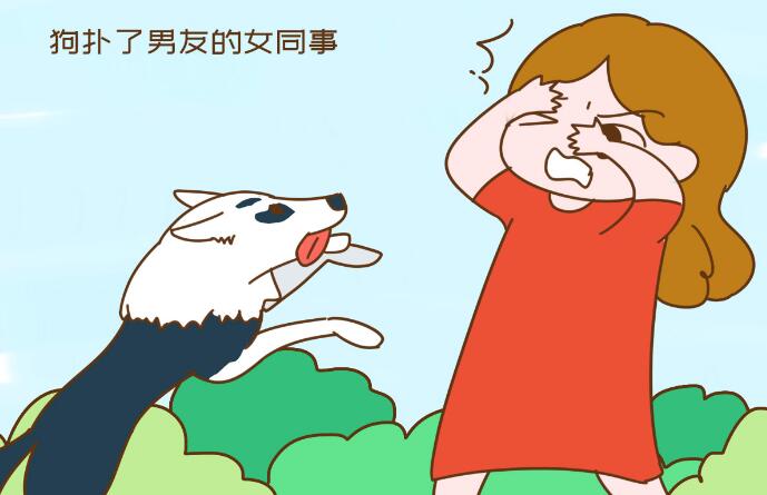狗扑了女同事被索赔六千，得寸进尺背后，原来“受害者”另有目的