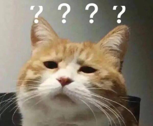 “猫咪眼睛能当手表用”，是谣言还是真的？！