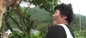 为了引起主人注意,得到主人亲睐,这条狗狗每天做一件痛苦的事 为了引起主人注意,得到主人亲睐,这条狗狗每天做一件痛苦的事