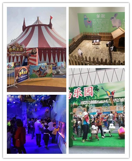 崇左市鹦鹉表演出租大型庆典 