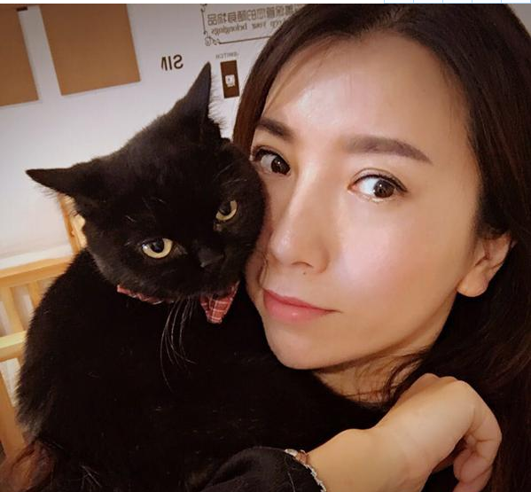 理性救助流浪猫 长春美女网红“葛大喵”受热捧