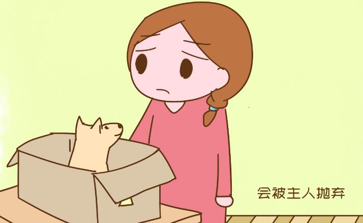 狗扑了女同事被索赔六千，得寸进尺背后，原来“受害者”另有目的