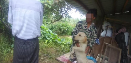 老汉拾到拉布拉多犬不还惹纠纷,狗儿却直扑主人怀中 老汉拾到拉布拉多犬不还惹纠纷,狗儿却直扑主人怀中