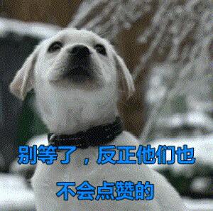 主人在墙上画了只橘猫，家里两只猫咪不淡定了：别怕！我救你出来