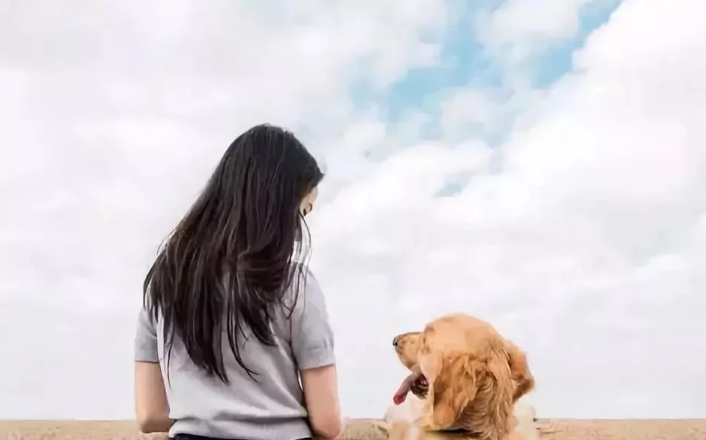 相伴12年,婆婆和柴犬都患上痴呆症,分开2年却奇迹般认出彼此 相伴12年,婆婆和柴犬都患上痴呆症,分开2年却奇迹般认出彼此