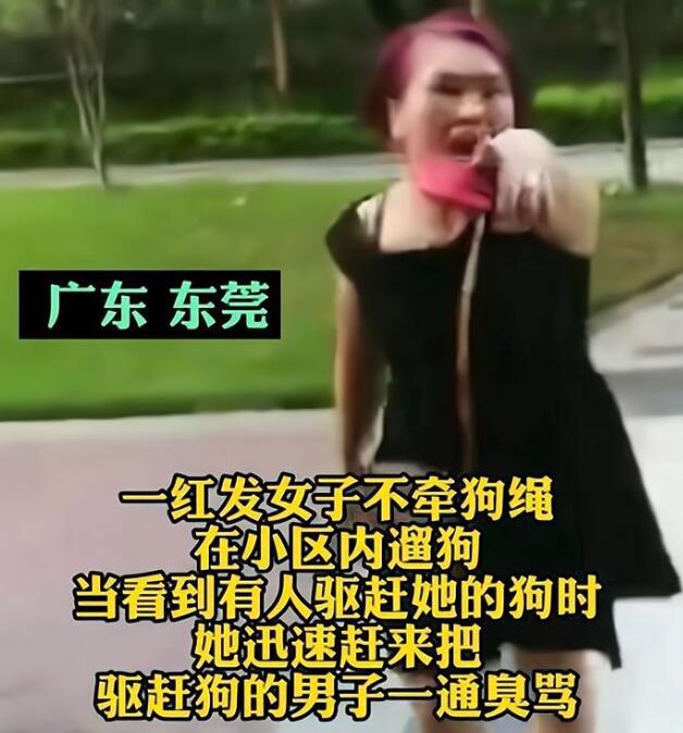 真是嚣张!遛狗不拴绳还有理了?还叫嚣“喊老公带人来弄死他” 真是嚣张!遛狗不拴绳还有理了?还叫嚣“喊老公带人来弄死他”