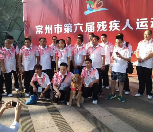 江苏首只导盲犬退休啦，原来只有曾寄养家庭放弃，别人才能领养……