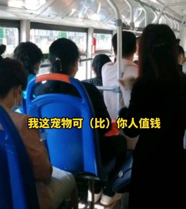 宠物比人值钱?大同女子带宠物狗上公交车,一路辱骂语出惊人 宠物比人值钱?大同女子带宠物狗上公交车,一路辱骂语出惊人