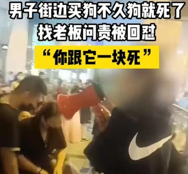 大连一男子街边买狗回家就死了,找商家问责被怼:你可以跟它一块死 大连一男子街边买狗回家就死了,找商家问责被怼:你可以跟它一块死