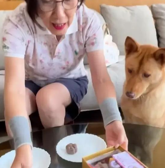 汪明荃和罗家英月饼收多了,竟拿出来喂狗了? 汪明荃和罗家英月饼收多了,竟拿出来喂狗了?