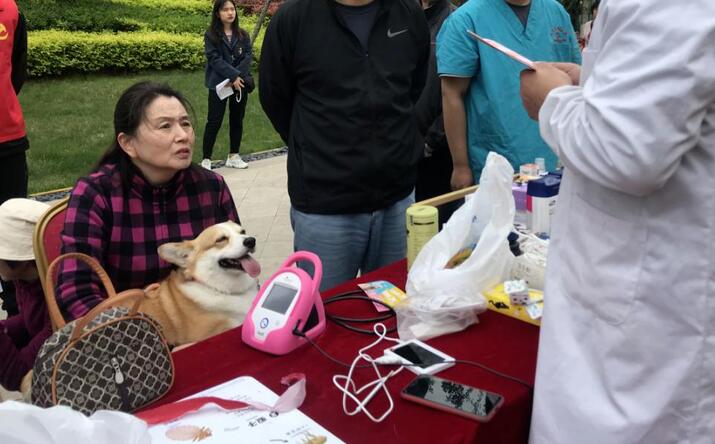 烟台高新区马山街道海博社区举办文明养犬宣传活动 烟台高新区马山街道海博社区举办文明养犬宣传活动
