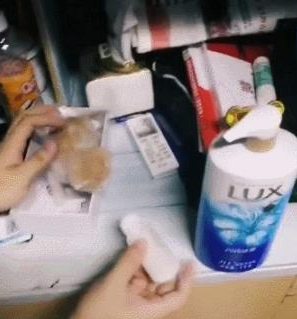 一只小猫六个爹，全宿舍的人手忙脚乱，网友：流浪猫成了小公举