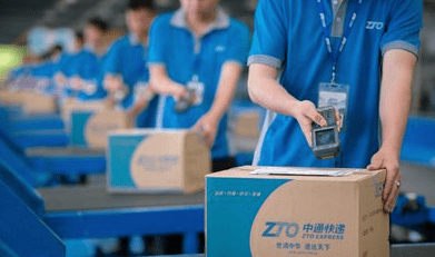 “宠物盲盒”泛滥，仅对快递公司加大处罚 可以避免“悲剧”再次发生吗？