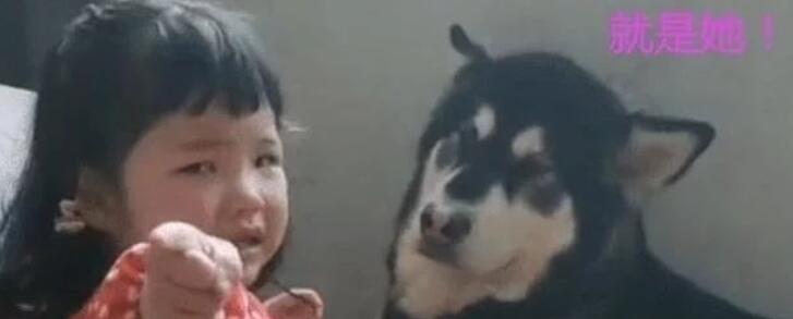 熊孩子被妈妈训斥后跟狗告状，狗子左右为难的样子：跟我没关系