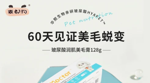 如何让猫咪快速美毛？麦都教你猫咪美毛小窍门