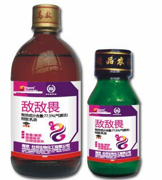 小孩全身长包,罪魁祸首竟是自家的狗! 小孩全身长包,罪魁祸首竟是自家的狗!