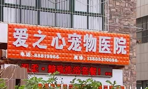 泰山小动物保护中心窘况：狗粮紧缺 下山买水挺贵