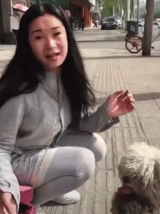一只流浪狗的蜕变,感谢让它遇见了有爱的主人,从此不用颠沛流离 一只流浪狗的蜕变,感谢让它遇见了有爱的主人,从此不用颠沛流离