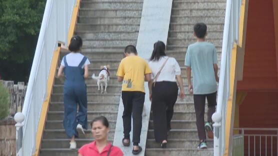 小狗追扑女孩,吓坏家长…… 小狗追扑女孩,吓坏家长……