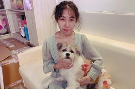 凭着宠物美容手艺 她帮助600只流浪犬找到新主人