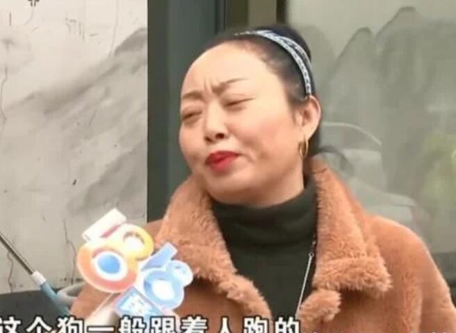 狗跑车底被撞死，狗主人不让司机走：撞死我儿子赔钱