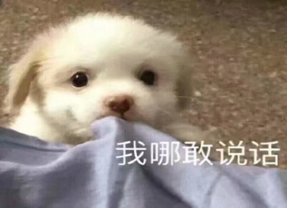 好家伙，原来狗子还有两幅面孔呢，真是“戏精”附体~
