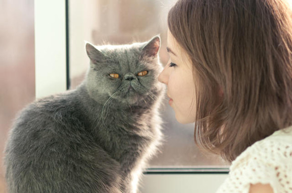尴了个大尬，堂堂喵星人竟然认错主子了！猫咪：打扰了……